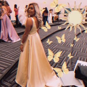 Meet your Posher, Chandler